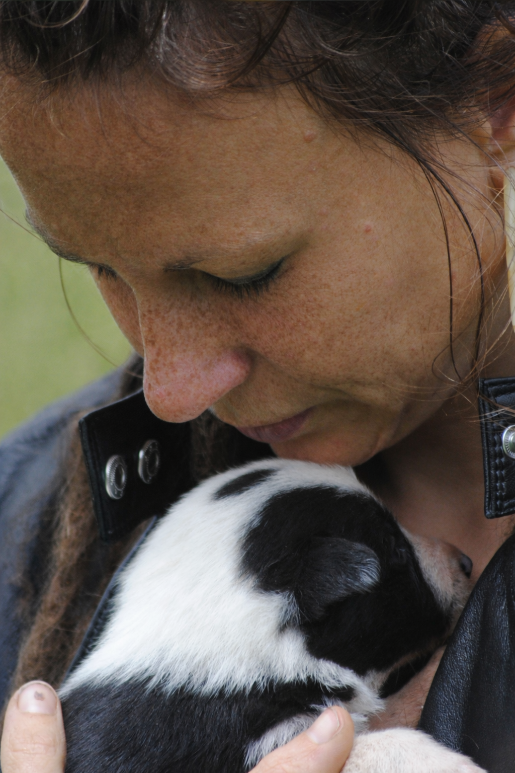 Cradling a border collie puppy in quiet closeness