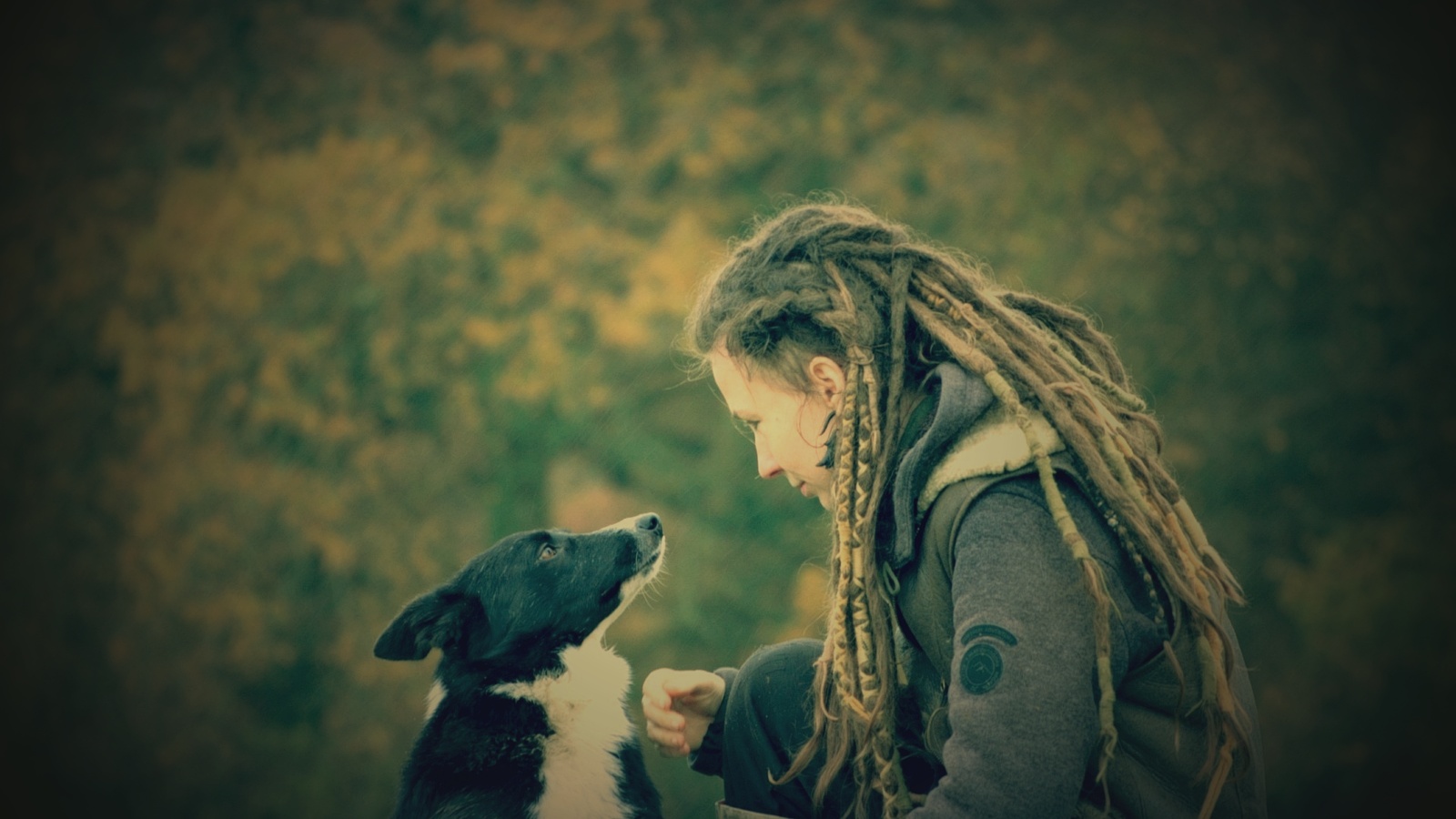 Face to face with a border collie — deep attunement